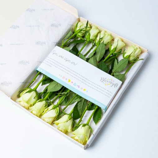 Brievenbus Rozen wit (10 stuks)