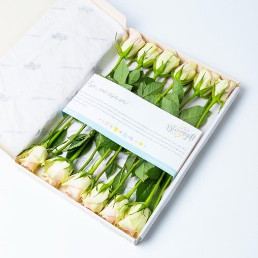 Brievenbus Rozen roze 12 stuks