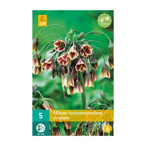 Bulgaarse uienbollen (zakje van 5 stuks)