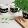 Buzzy ® Bio kruiden set met krijtvak (3 stuks)