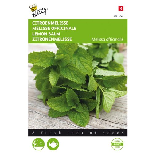Buzzy Citroenmelisse