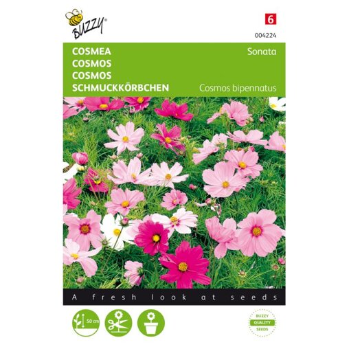 Buzzy ® Cosmos bipinnatus
