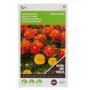 Buzzy® Groenbemester Tagetes Bonita voorkant