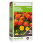Buzzy® Groenbemester Tagetes Bonita