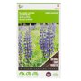 Buzzy® Groenbemester Lupine Blauwe Bittere voorkant