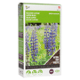 Buzzy® Groenbemester Lupine Blauwe Bittere