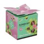 Buzzy ® Grow Gift Klavertje 4 in potje verpakking