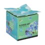 Buzzy ® Grow Gift Vergeet-me-niet in potje verpakking