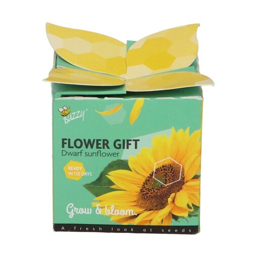 Buzzy ® Grow Gift zonnebloem in potje