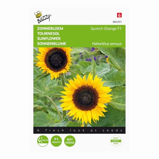 Buzzy ® Helianthus Sunrich Orange F1