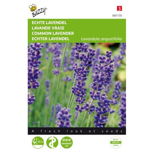 Lavendel