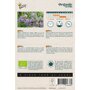 Buzzy ® Bio Phacelia Achterzijde