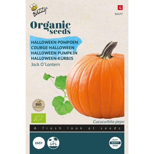 Buzzy ® Bio Pompoen Jack o'Lantern Voorzijde
