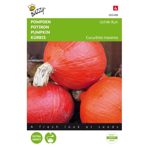 Buzzy pompoen