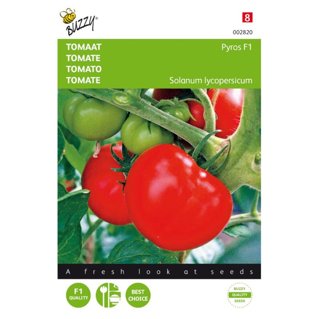 Uitstekend Woning Stuiteren Buzzy ® Tomaten Pyros F1 kopen? Tuincentrum.nl bezorgt ✓ Snel in huis ✓  Advies voor en na aankoop