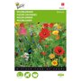 Buzzy ® Wildbloemen Mengsel