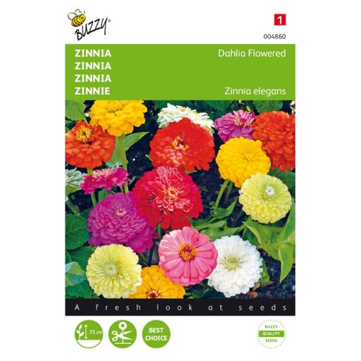 Buzzy ® Zinnia elegans Dubbele Dahliabloemig Gemengd