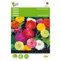 Buzzy ® Zinnia elegans Dubbele Dahliabloemig Gemengd