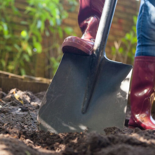 Bomen aanplantservice XL