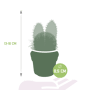 Cactus mix afmetingen