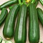 Zucchini Courgette Diamant