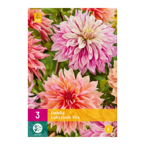 Dahlia knollen Labyrinth Mix (XXL zak van 3 stuks)