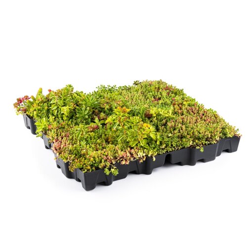 Daktuin element ECO (kant en klaar)