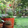 Elho greenville rond terracotta tuin
