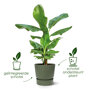 Elho greenville gemberbruin plantenpot