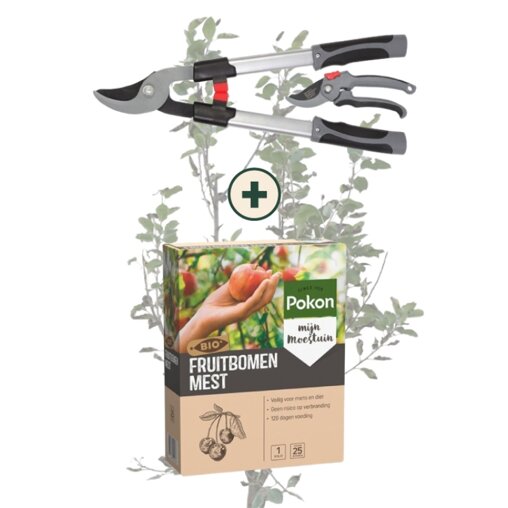 Fruitbomen onderhoudspakket