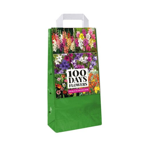 Bloembollen tas Garden Colour Explosion (125 stuks)