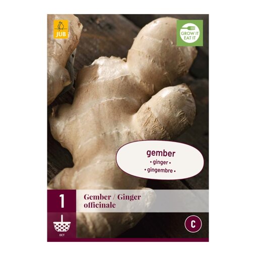 Gember (zak van 1 stuk)