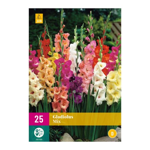 Gladiolenbollen Mix (XXL zak van 25 stuks)