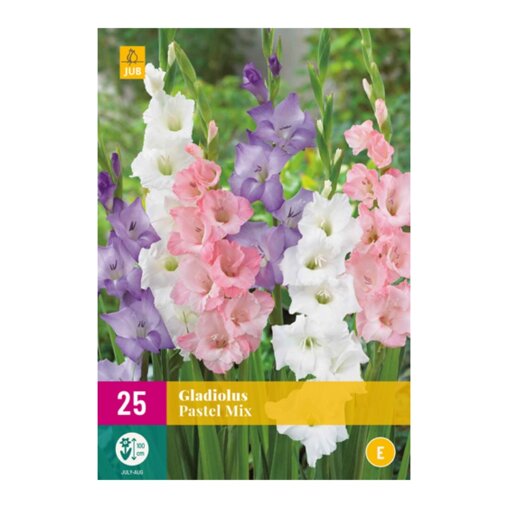 Gladiolenbollen Pastel Mix (XXL zak van 25 stuks)