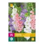 Gladiolenbollen Pastel Mix (XXL zak van 25 stuks)