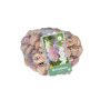 Gladiolenbollen Pastel Mix (netzak van 60 stuks)
