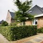 Haagbeuk sfeerbeeld (Mobilane kant en klaar haag)