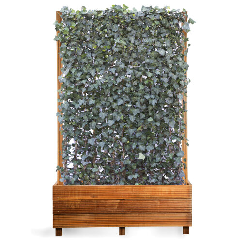 Hardhouten bak met hoge haag