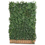 Hedera helix 'Woerner' (Mobilane kant en klaar haag)