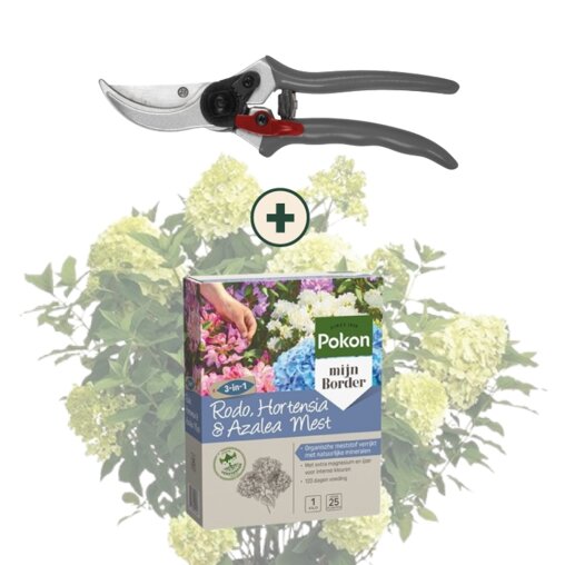 Hortensia onderhoudspakket