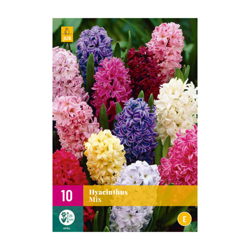Hyacinten Mix (XXL zak 10 stuks)