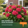 Sfeerbeelden