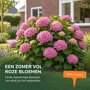 Sfeerbeelden