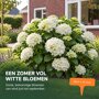 Sfeerbeelden