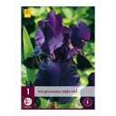 Baardiris bol Night Owl (zak van 1 stuk)