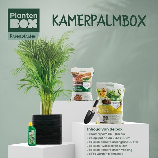 Kamerpalmbox