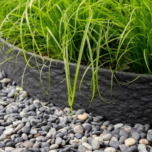 Kantopsluiting Eco zwart (per rol)