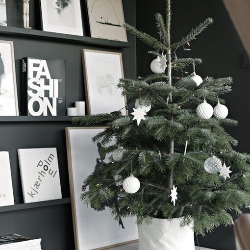 Nordmann kerstboom deluxe geïmpregneerd kopen? Tuincentrum.nl bezorgt ✓ in huis ✓ Advies voor en na aankoop