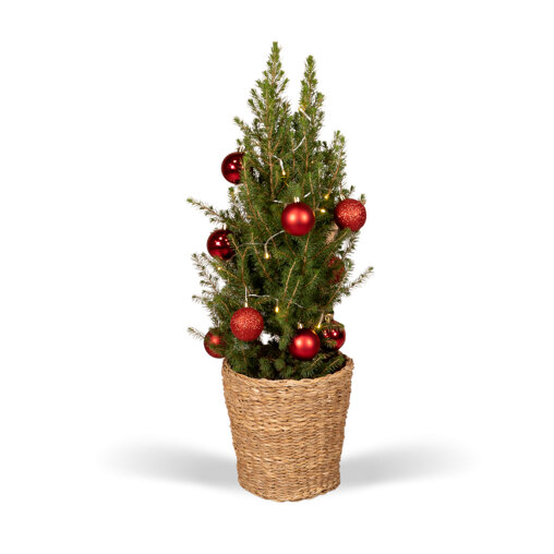 Kerstboom 80 cm inclusief rode versiering