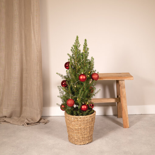 Vertrappen koppel wiel Kerstboom 80 cm inclusief rode versiering kopen? Tuincentrum.nl bezorgt ✓  Snel in huis ✓ Advies voor en na aankoop